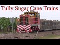 Tully Sugar Narrow Gauge Cane Trains (Diesel Locomotives on North Queensland Railway, Australia)