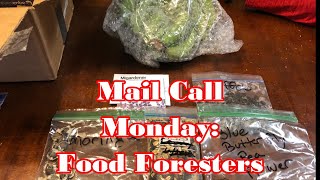 Mail Call Monday | Food Foresters | Fried Green Bananas