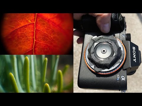 Adapting a Pentax Q Lens for Full Frame Macro Photography