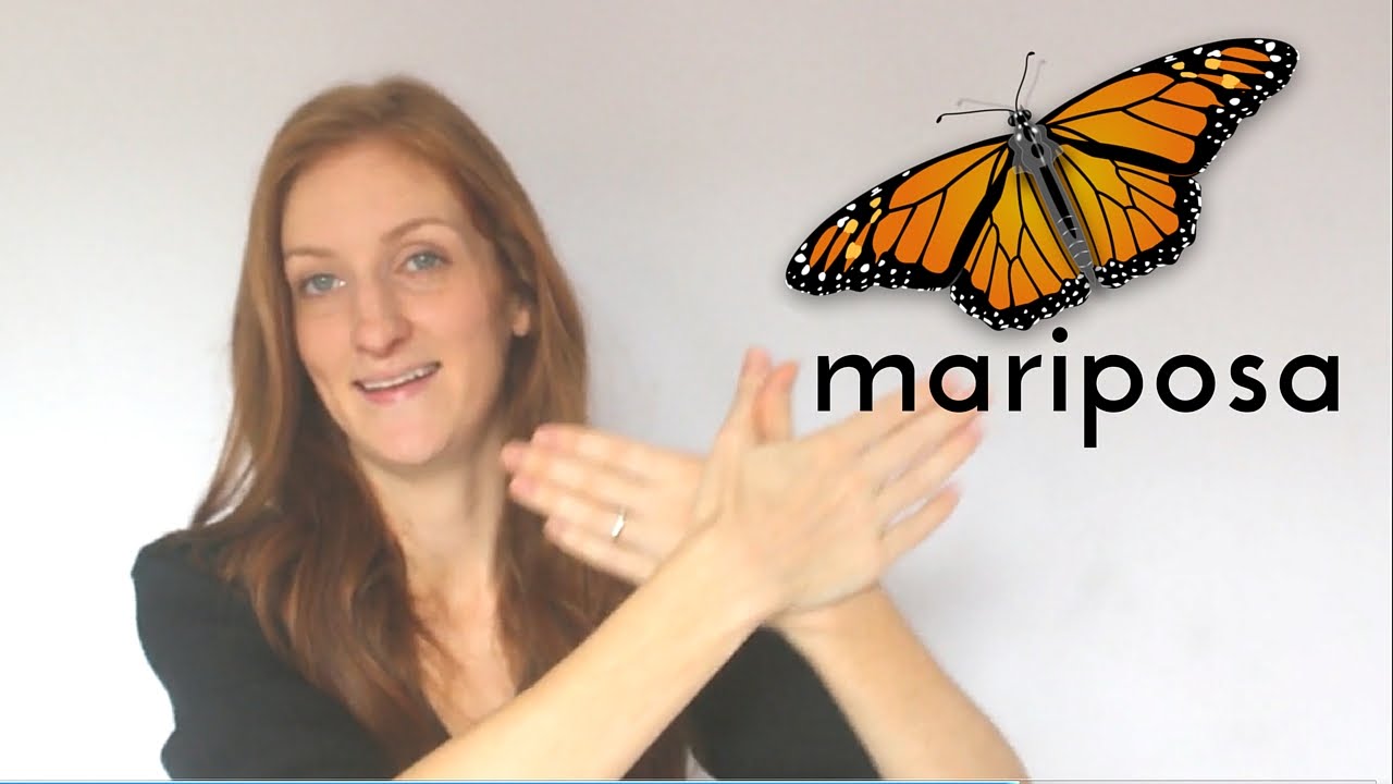 LENGUAJE DE SEÑAS -- MARIPOSA - YouTube