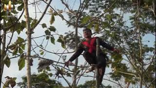 PENEKAN utawa KALONGAN Janturan  Ebeg Wahyu Krida Kencana Live Bonjokwetan 2024