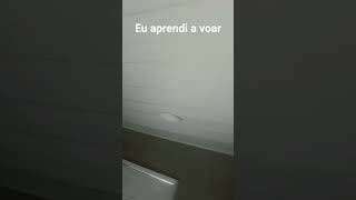 em Belina que faz voar kksksksksk