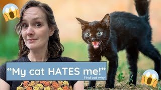 'My cat hates me!' Let's talk about why...