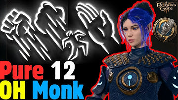 PURE 12 Way of the Open Hand MONK Build - Baldur