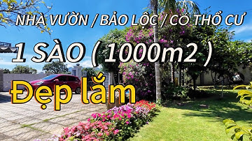 BÁN CĂN NHÀ VƯỜN TÂM HUYẾT TẠI BẢO LỘC / ANH CHỊ CHỦ NGẬM NGÙI CHIA SẼ