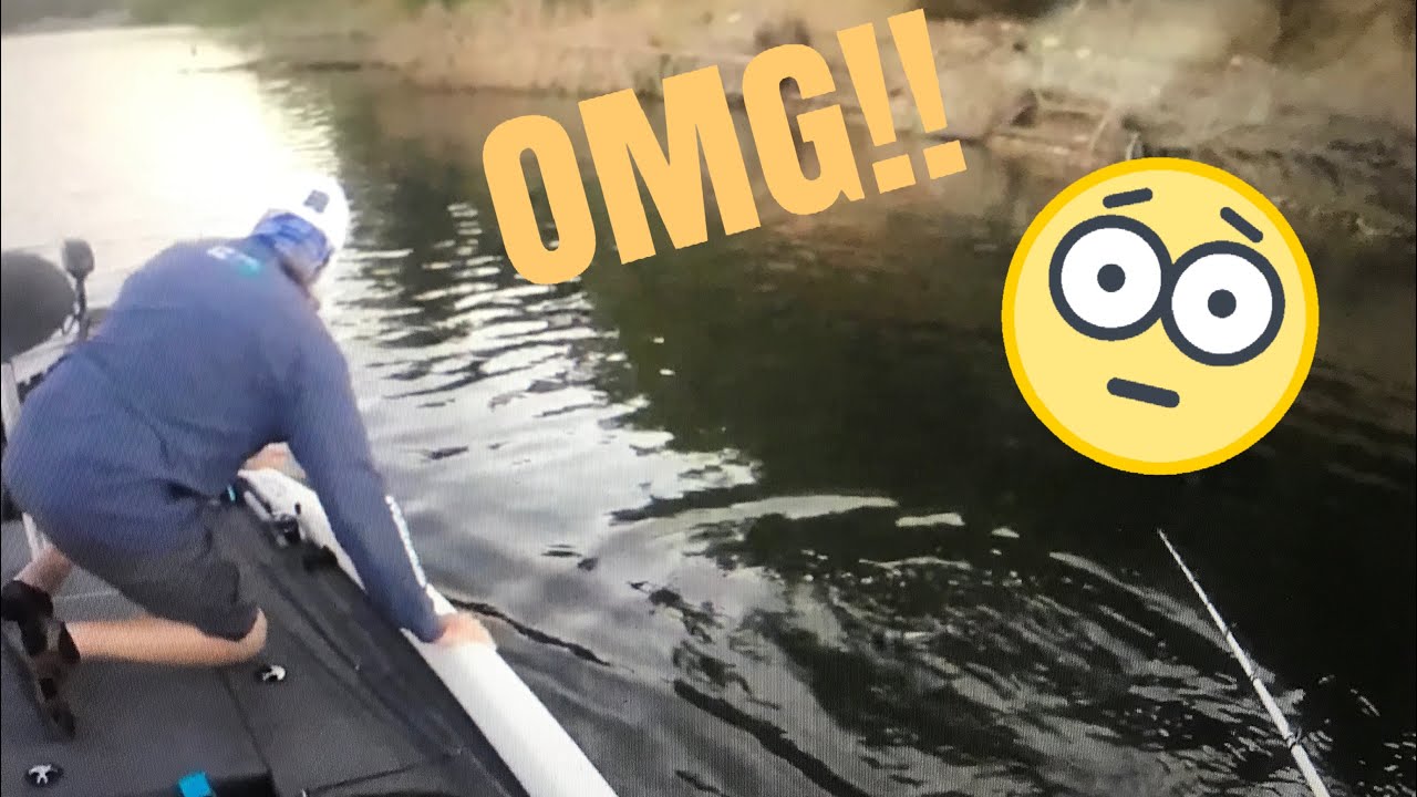 INSANE catch on East Fork Lake, Ohio Southern Ohio Bassmasters YouTube