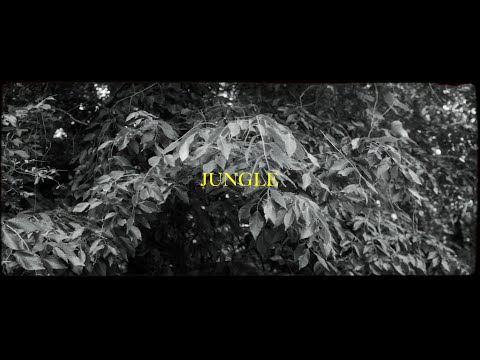 Detroit YB - Jungle/Doors (Official Music Video)