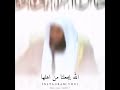 شاهيذ ولن تخصار شيئ 2 