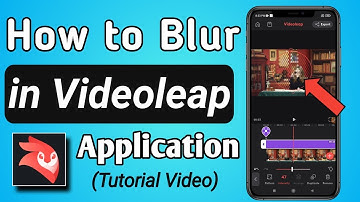 How to Add Blur in Video / Photo in Videoleap Editor App