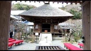 【鎌倉の寺】円覚寺 佛日庵