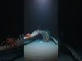 Scientists Tracked One Whale's Bones 1,288 Meters Deep for 15 Years  Found a Hidden City Still Alive