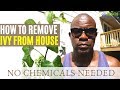 How to Remove Ivy From House