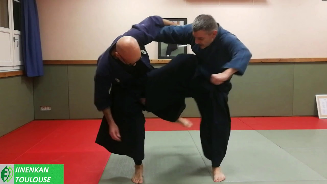 koto ryu - teki gaeshi - jinenkan France