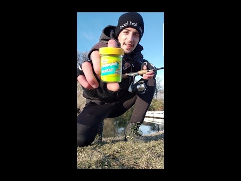 pecanje-pastrmke-koristeci-powerbait