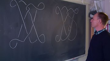 The Crafoord Prize in Mathematics 2016