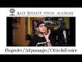 Alex Shelest Vocal Lessons - Flageolet Register / 3d passagio / C5 full voice