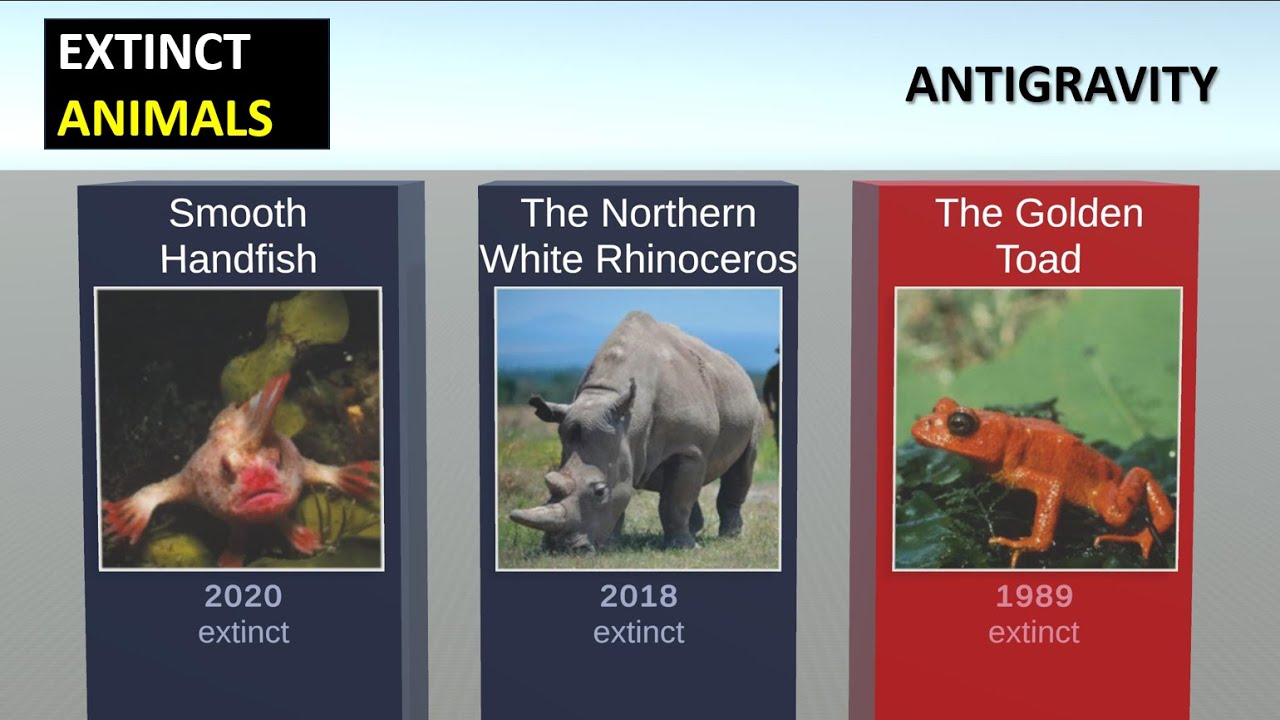 20 extinct animals we’ve lost in the past 150 Years | 3D models - YouTube