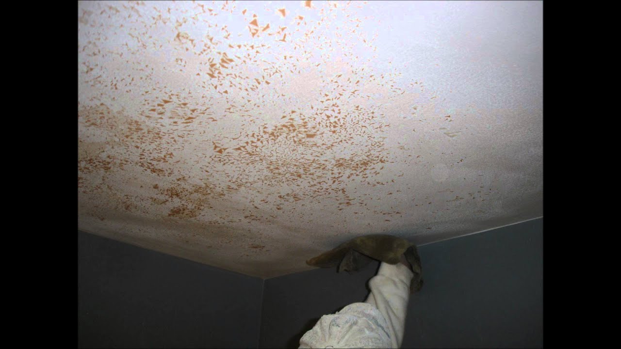 Bathroom Ceiling Repair Painting Seattle Ballard Healthy