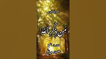 سورة الزمر ـ الأية (22)-د بصوت القارئ الشيخ #حسن_صالح