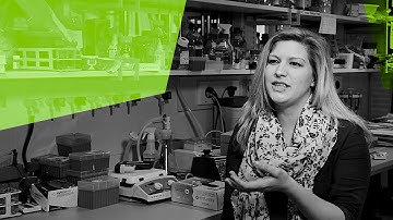 Julie, about the Master