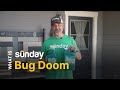 What Is Sunday Bug Doom