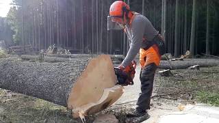 THE BEST CHAINSAW HUSQVARNA 560 XP NUMBER ONE!!!