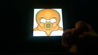 Horacio the handsnake - Takos (Mario)