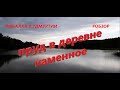 Рыбалка в Удмуртии. Пруд в деревне Каменное.