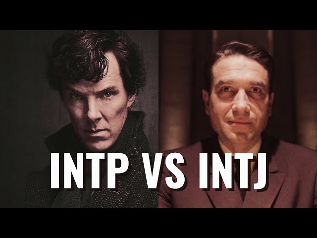 Nabnab MBTI Personality Type: INTJ or INTP?
