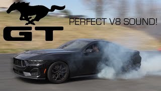 The BEST SOUNDING S650!!! Mustang GT with Valvetronic Designs Full Exhaust