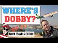 We Qualified POLE and a got a PODIUM! Then we let WillNE drive the car! - Where's Dobby EP03