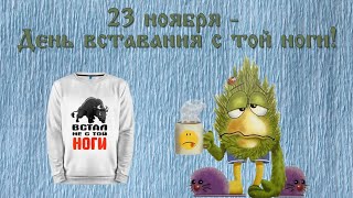 23 ноября День вставания с той ноги. Поздравительная видео открытка с юмором