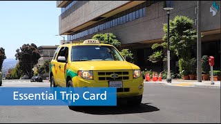 The Essential Trip Card