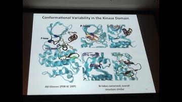 Benoit Roux - Workshop on Free Energy, Kinetics, & MSM in Drug Design 2018