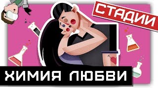 ХИМИЯ ЛЮБВИ: стадии отношений между МУЖЧИНОЙ и ЖЕНЩИНОЙ! 💑 ХИМИЯ ЛЮБВИ: стадии отношений между МУЖЧИНОЙ и ЖЕНЩИНОЙ! 💑