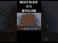 grass block v/s mycelium block