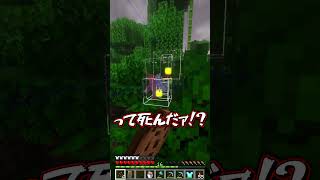 【マイクラ】バグ技で大ダメージを与えると…?【ゆっくり実況】