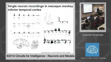 6/2/14 Circuits for Intelligence - Gabriel Kreiman: Neurons and Models