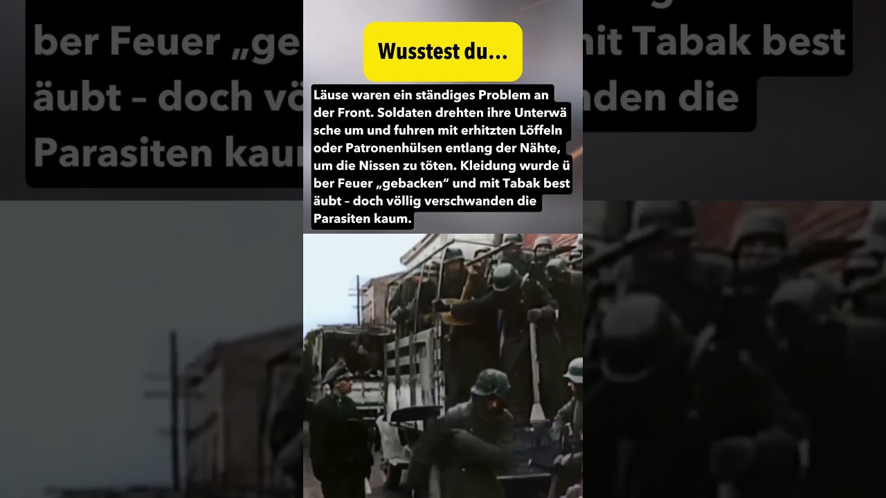 Frontläuse: Wie Soldaten Parasiten bekämpften | WW2 Alltag