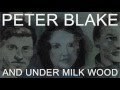 Peter blake and under milk wood  amgueddfa cymru  national museum wales