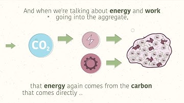 Soil Health Animated Explainer Video