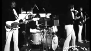 The Troggs - Love Is All Around