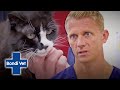 Crazy Cat Man's Cat, Moggy Is Extremely Underweight! | Full Episode | E22 | Bondi Vet