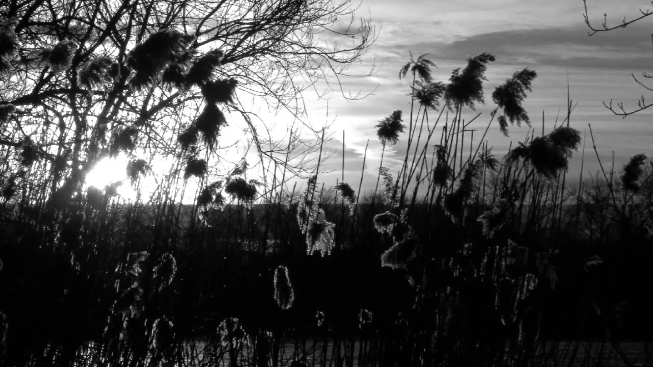 Smoke Fairies - So Much Wine