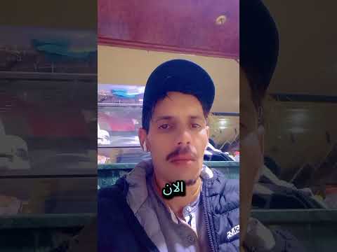 لاتحارب إنسانا قوته في هدا العالم هو الله أقوال خلدها التاريخ لايك اشتراك بالقناه ليصلك كل جديد