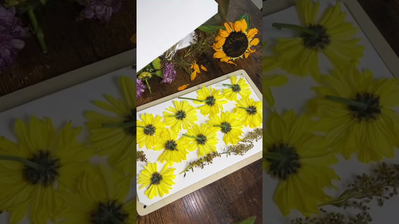 The best flower press! 💛