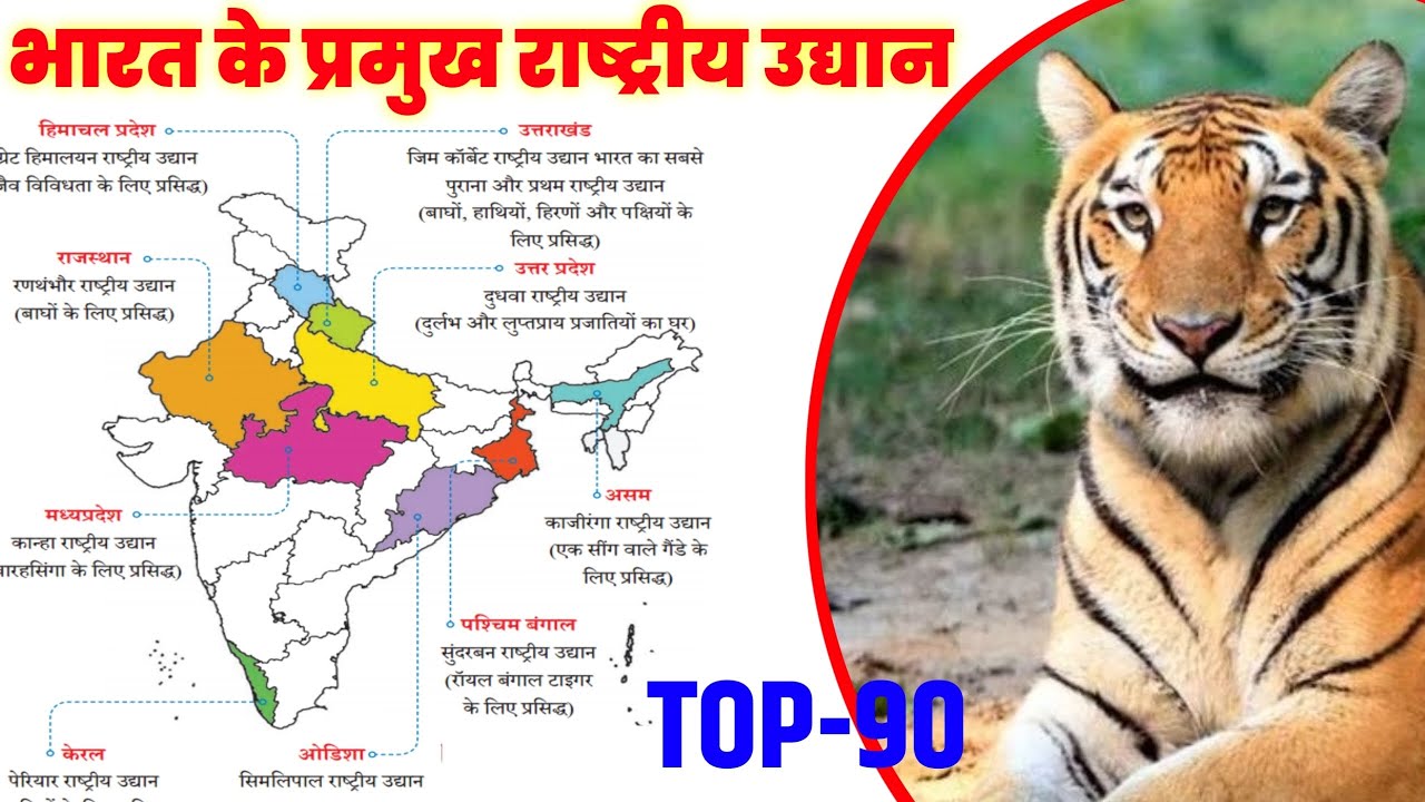 भारत के प्रमुख नेशनल पार्क | national parks | राष्ट्रीय उद्यान | rashtriya udhyan |static gk #static