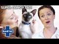 HELP! Siamese Cat Screams Over 1000 TIMES A DAY! | Full Episode | Bondi Vet
