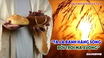 (Trực Tuyến) THÁNH LỄ CHÚA NHẬT XIX THƯỜNG NIÊN. 08/08/2021.