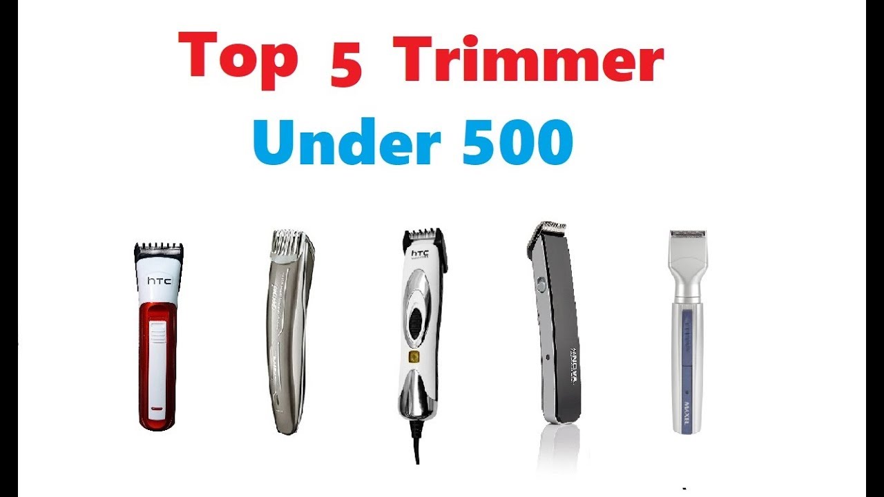 best trimmer under 500